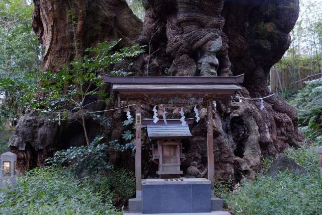 Kamo-no-Okusu (Santuário Kinomiya, Atami) 