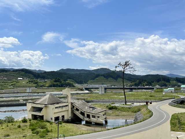 Kiseki no Ippon Matsu - O Pinheiro Milagroso 