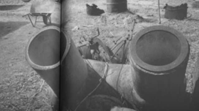 Naoyuki Kanno - O estranho caso do homem encontrado encontrado morto dentro de um vaso sanitário no Japão