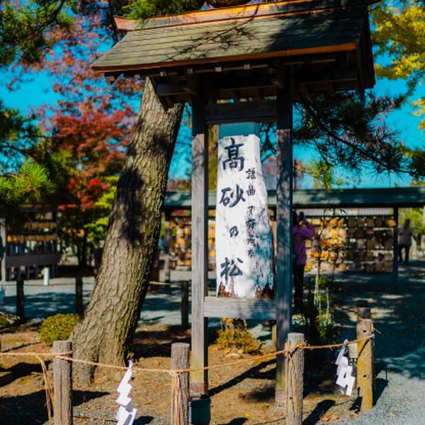 Os Sete Cedros de Aso (Santuário 