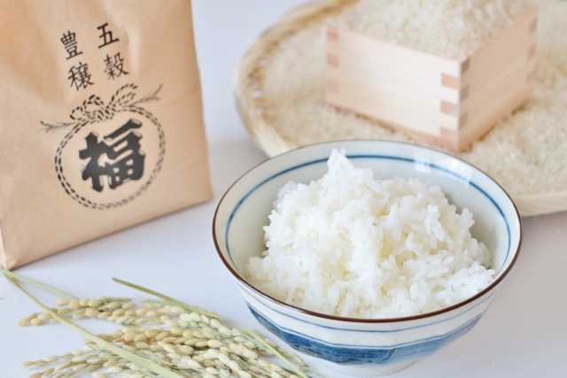 Entenda por que os preços do arroz dispararam no Japão, os impactos do clima, redução da produção, aumento de custos e as consequências para consumidores.