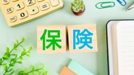 Por que ter um seguro de vida é importante no Japão