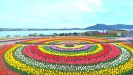 Sante Park Tahara, Aichi