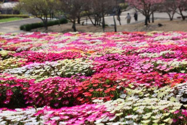 Sante Park Tahara, Aichi