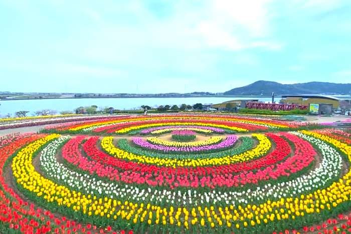 Sante Park Tahara, Aichi