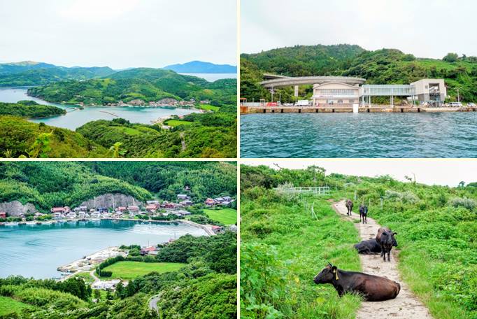 Chiburijima, a Ilha dos Tanuki