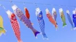 Koinobori no Japão: o significado das carpas ao vento e os lugares mais populares para vê-las