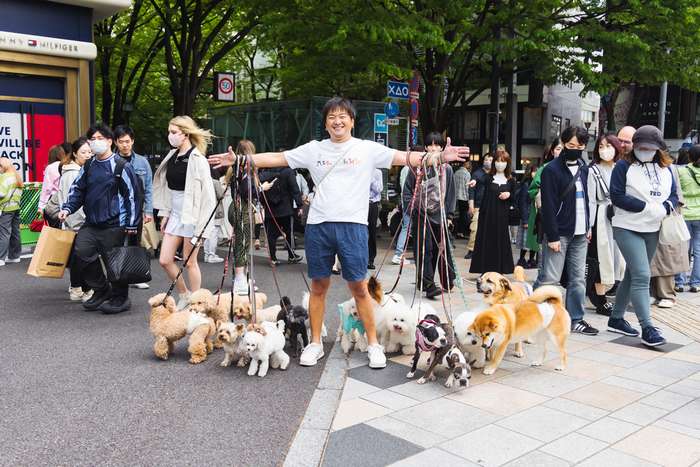 As 50 raças de cães mais populares do Japão