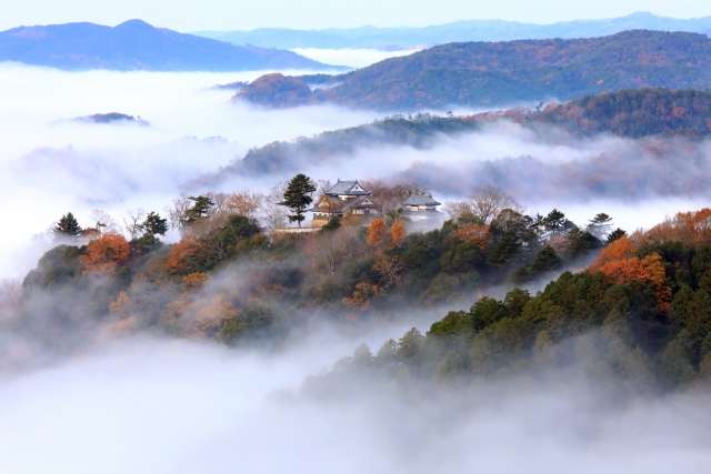 Castelo de Bitchu Matsuyama 
