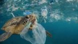 Empresa japonesa cria plástico biodegradável feito de CO2 para proteger os oceanos