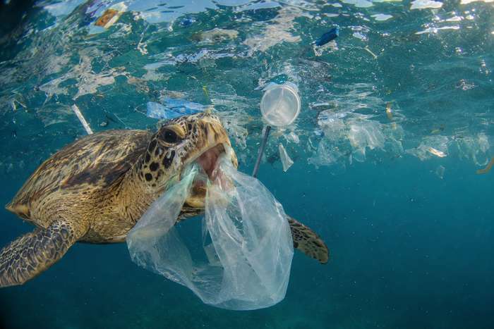 Empresa japonesa cria plástico biodegradável feito de CO2 para proteger os oceanos