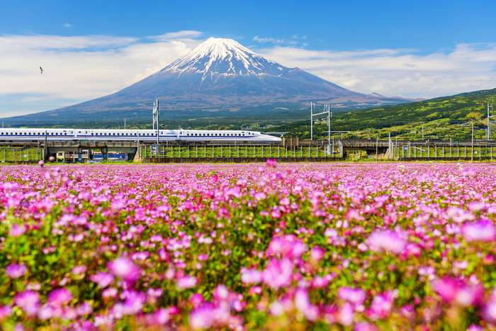 Monte Fuji shinkansen 
