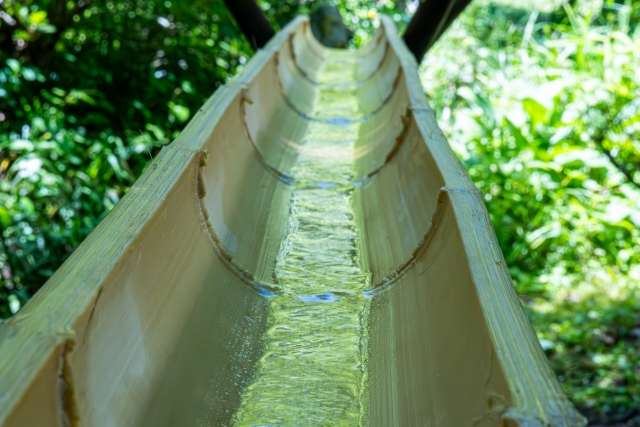 O papel do bambu no Nagashi Somen 