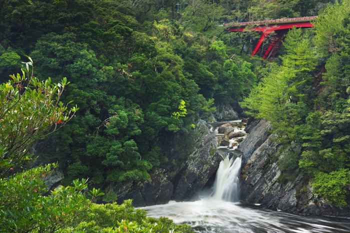 As Cataratas de Toroki na Ilha Yakushima, Japão