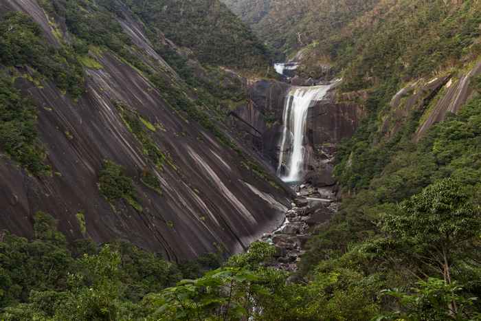 Yakushima, a ilha encantada do Japão 