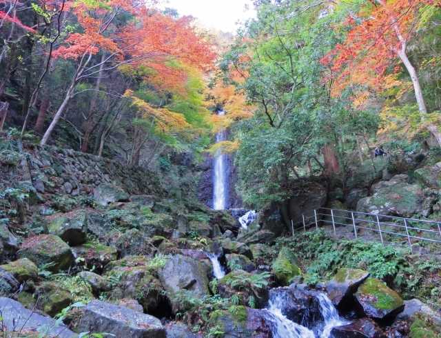 Cachoeira de Yoro e a lenda da água que vira saquê 