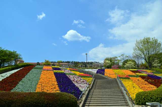 Fuefukigawa Fruit Park, o paraíso das frutas com vista para o Monte Fuji em Yamanashi