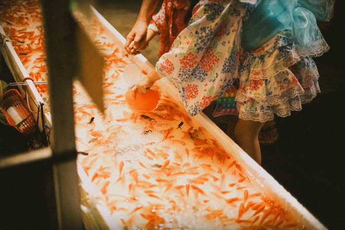 Kingyo Sukui pesca de peixinhos dourados em um matsuri no Japão 
