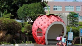 Os inusitados e adoráveis pontos de ônibus em formato de frutas no Japão
