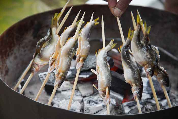 Peixe Ayu, símbolo do verão no Japão 