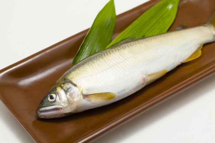 Peixe Ayu, símbolo do verão no Japão 