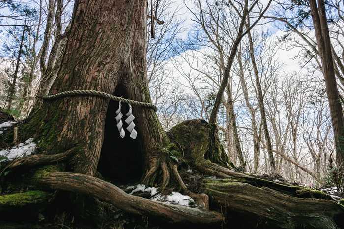 Shugendo -Togakushi, a montanha sagrada de Nagano 
