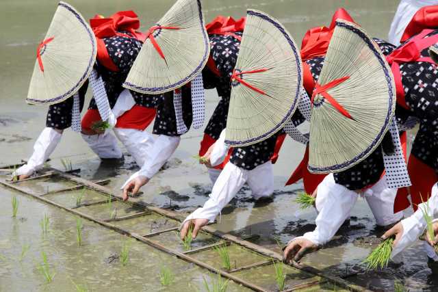 Sugegasa - a história e o simbolismo do tradicional chapéu de junco do Japão