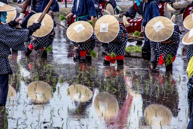 Sugegasa - a história e o simbolismo do tradicional chapéu de junco do Japão