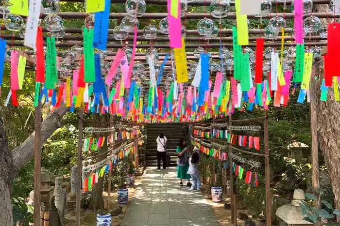 Templo Nyoirin-ji - conheça o famoso Templo dos Sapos de Fukuoka