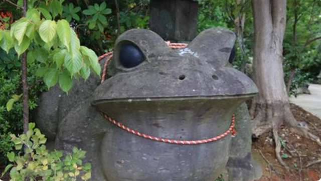 Templo Nyoirin-ji - conheça o famoso Templo dos Sapos de Fukuoka