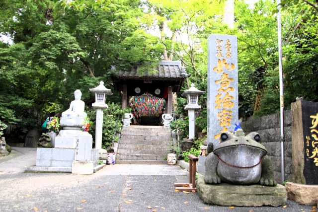 Templo Nyoirin-ji - conheça o famoso Templo dos Sapos de Fukuoka