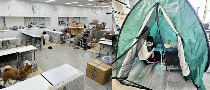 Terremoto em Kumamoto mobiliza força-tarefa para resgatar animais de estimação desaparecidos 