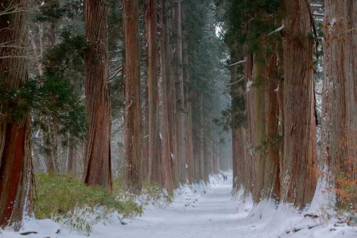 Togakushi, a montanha sagrada de Nagano 