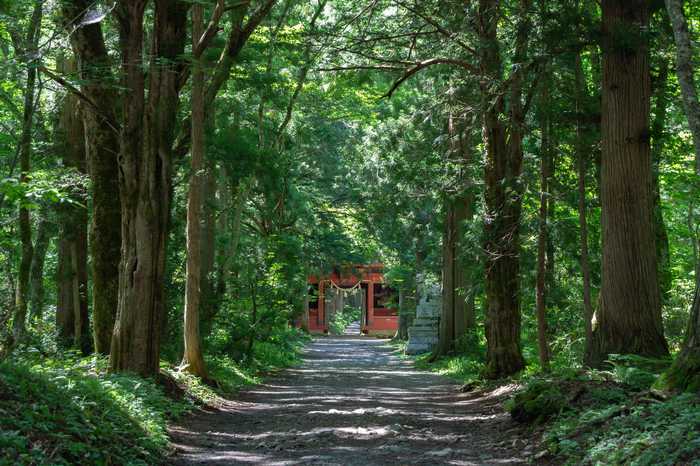 Togakushi, a montanha sagrada de Nagano 