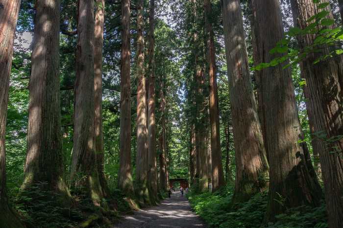 Togakushi: a montanha sagrada de Nagano