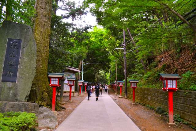 7 montanhas fáceis de escalar perto de Tóquio para iniciantes - Monte Takao 