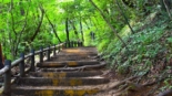 7 montanhas fáceis de escalar perto de Tóquio para iniciantes - Monte Takao