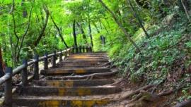 7 montanhas fáceis de escalar perto de Tóquio para iniciantes - Monte Takao