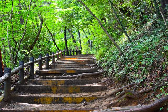 7 montanhas fáceis de escalar perto de Tóquio para iniciantes - Monte Takao