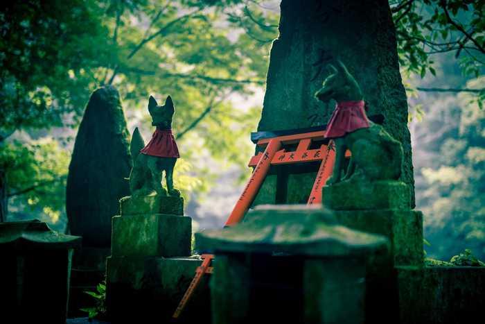 Estátuas de raposas e torii em um santuário xintoísta