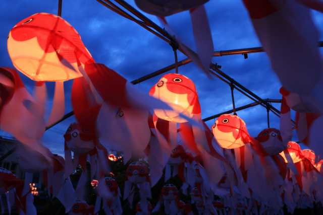 Festival das Lanternas de Peixinho Dourado de Yanai 