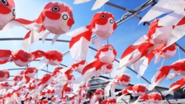 Festival das Lanternas de Peixinho Dourado de Yanai, província de Yamaguchi