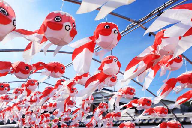 Festival das Lanternas de Peixinho Dourado de Yanai, província de Yamaguchi