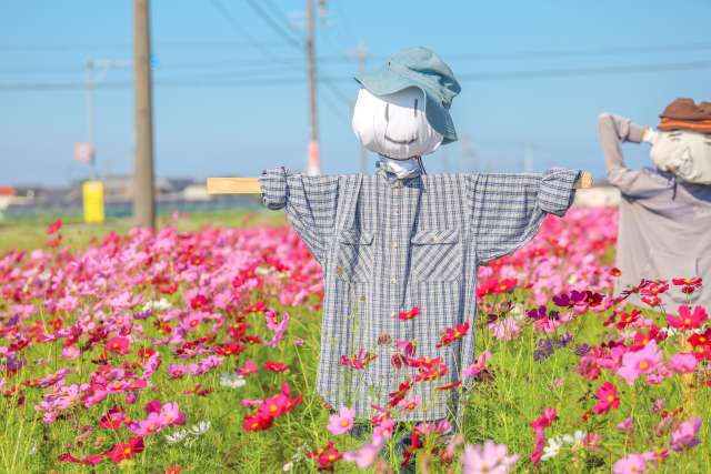 Kakashi, a fascinante história dos espantalhos japoneses