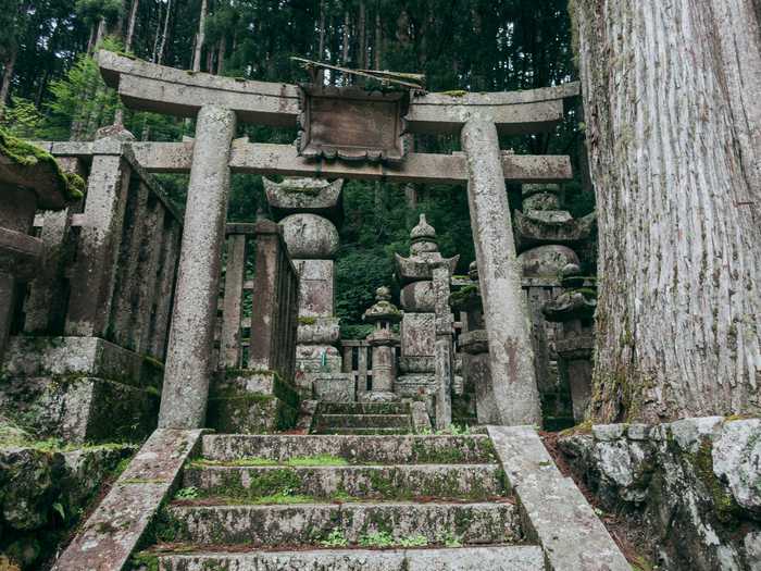 Monte Koya