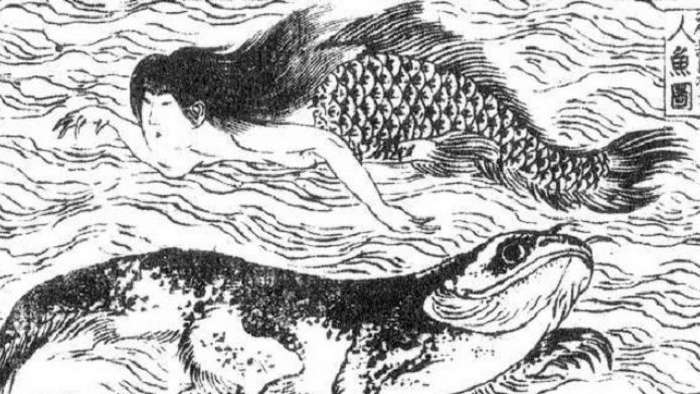 Ningyo - conheça as misteriosas sereias do folclore japonês