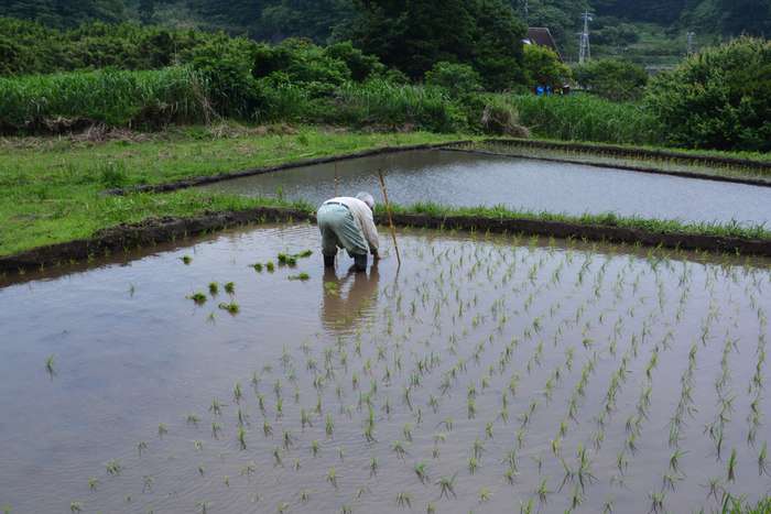 Pesquisa revela diferenças de causas de morte entre área rural e urbana no Japão