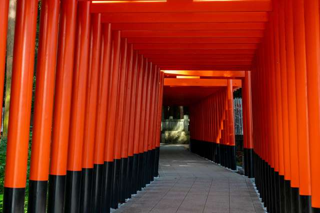 Portões Torii em Reikozuka, o bosque sagrado das raposas espirituais no Toyokawa Inari, em Aichi 