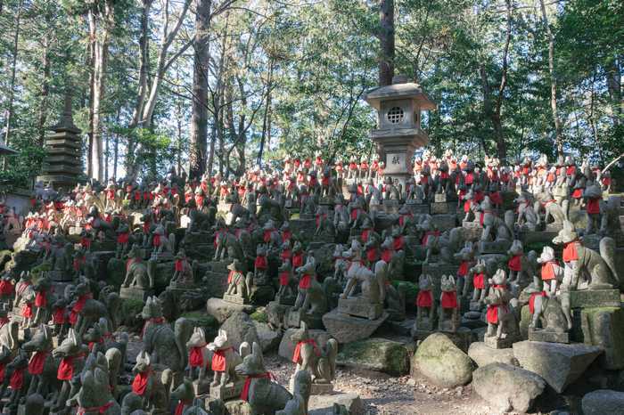 Reikozuka, o bosque sagrado das raposas espirituais no Toyokawa Inari, em Aich