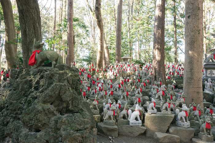 Reikozuka, o bosque sagrado das raposas espirituais no Toyokawa Inari, em Aichi
